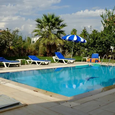 فيلة Paj